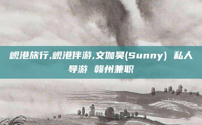 武义县岘港旅行,岘港伴游,文伽昊(Sunny) 私人导游 赣州兼职