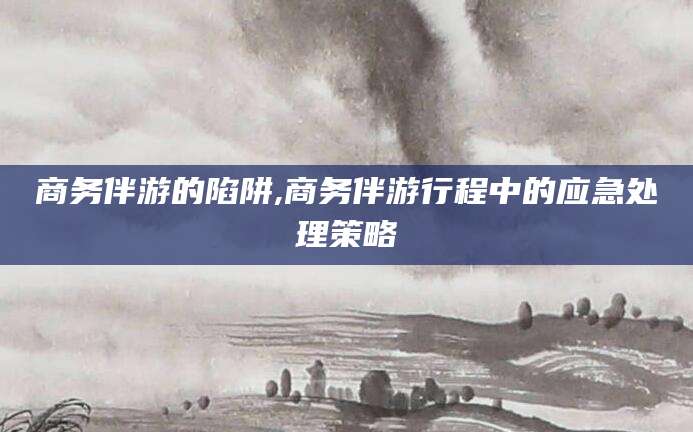 武义县商务伴游的陷阱,商务伴游行程中的应急处理策略